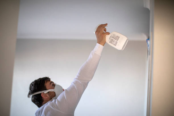 Best Mold Removal Company Near Me  in Salem, OH