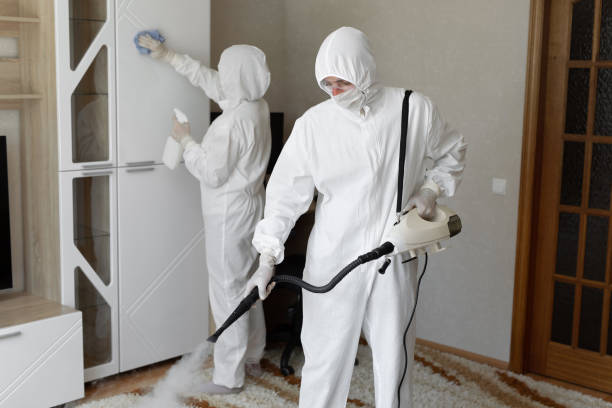 Mold Testing and Removal in Salem, OH