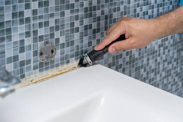 Best Local Mold Removal Service  in Salem, OH